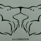 LG Comercium j.d.o.o.